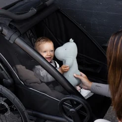 Best Chariot Sport 2 single - Black Cykelvogne