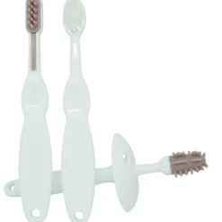 3delt trænings tandbørste sæt, blomme Plejeartikler Til Baby