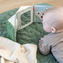 Best Fold-ud sansespejl Tiny farm Aktivitetslegetøj