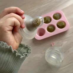 Discount Frugtsut med mini fryseform - Rose Foodfeeder Og Frugtsut