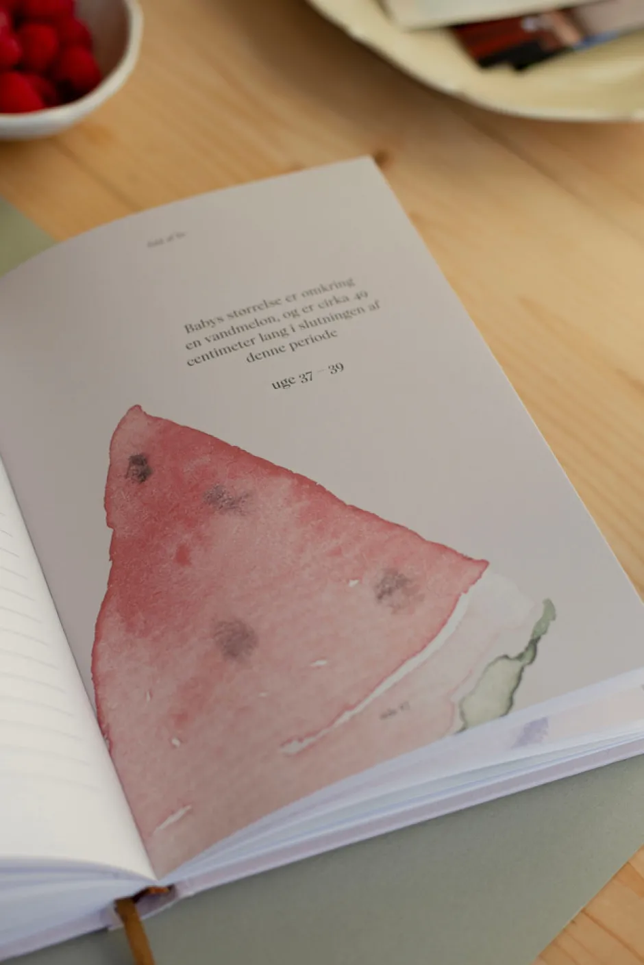 Fuld af liv - min graviditet Bøger