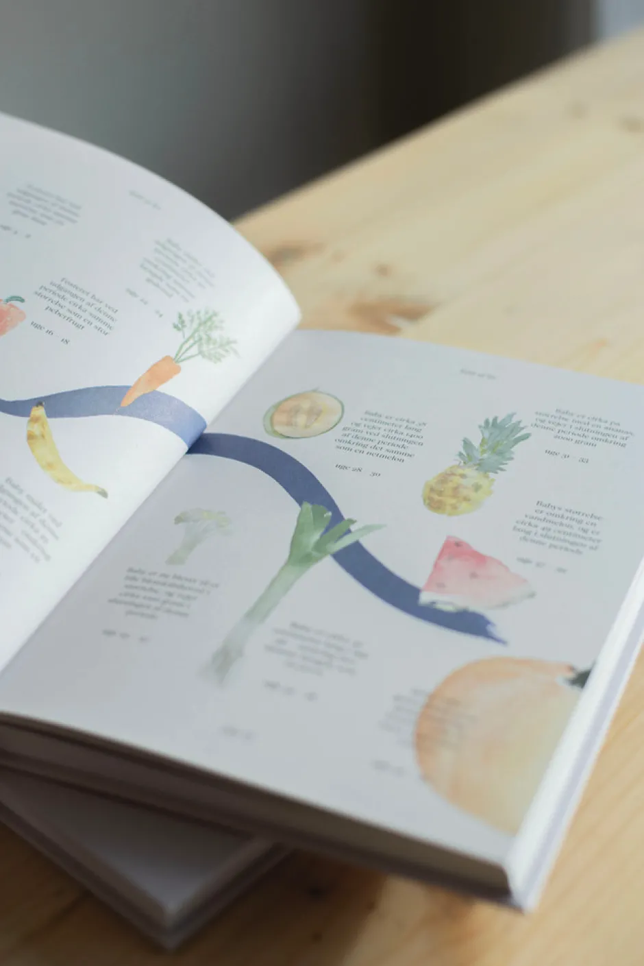 Fuld af liv - min graviditet Bøger