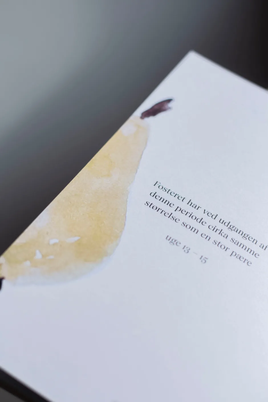 Fuld af liv - min graviditet Bøger