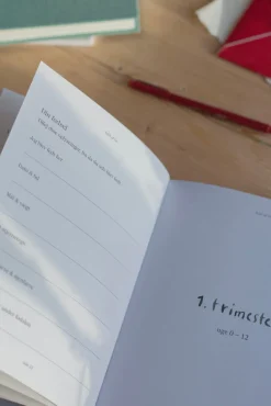 Fuld af liv - min graviditet Bøger