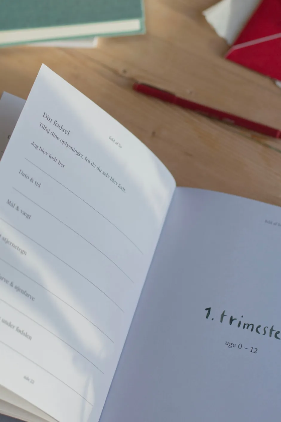 Fuld af liv - min graviditet Bøger