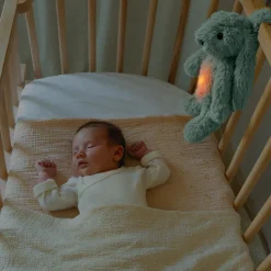 Sale Lampe Kaninen Ro - Grøn Børn Lamper