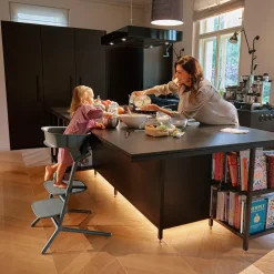 Sale Lemo højstol 4in1 sæt- stunning black Børn Højstole Med Tilbehør