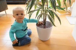 Outlet Noah Plantebeskytter, 2 stk Sikkerhed I Hjemmet