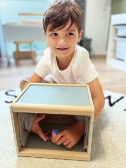 Sale Sanse Box Eksperimenter