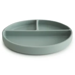 Best Silicone Plate (Cambridge Blue) Service