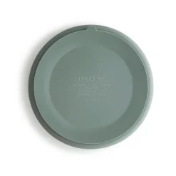 Best Silicone Plate (Cambridge Blue) Service