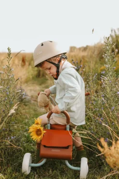 Discount Trehjulet cykel - Pale Jade Løbecykler & Cykler